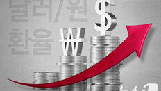 당국이 눌러놨던 환율, 슬금슬금 1460원 눈앞