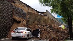 [단독]작년 사망 사고 난 창원NC파크 등… 안전점검 보고서에 과거 사진 ‘복붙’