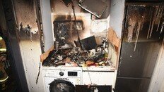 고양이가 전자레인지 켜 불냈다…‘반려동물 화재’ 주의보