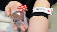 ‘두쫀쿠’ 효과 톡톡…헌혈 356→1002명