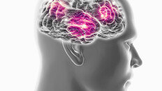 암과 치매의 역설적 관계…치료 힌트, 암세포가 쥐고 있다?