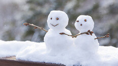 “펄펄 끓는 물을 왜 빙판길에?”…최악의 제설법 [알쓸톡]