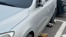 주차 막으려고 접착제로 돌 붙였다…이웃 갈등에 경찰 출동