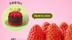 5분 만에 완판…접속자 13만 명 몰린 투썸 ‘두초생 미니‘