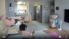 “신생아 머리 수십 차례 폭행”…대구 산후도우미 학대, 한 차례 아니었다