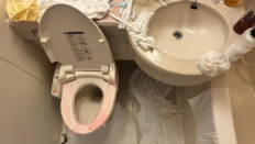 “中여성 2명 머문뒤 객실 쑥대밭”…日호텔 ‘쓰레기 테러’ [e글e글]