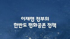 李가 유엔총회서 밝힌 ‘END 대북구상’, 통일부 책자서 빠져