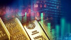 中 금 ETF서 하루만에 10억달러 빠져나갔다…역대 최대 규모 이탈