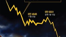 석달만에 반토막 난 비트코인 “최악의 하루, 크립토 윈터에 빠져”