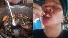 맹독성 ‘악마게’ 먹방 인플루언서 사망 “입술 파랗게 변해”