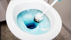 설 연휴 집 비웠더니 냄새가?…악취 막는 체크리스트 [알쓸톡]