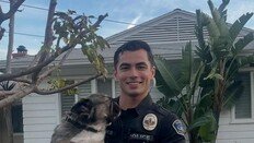 “나 좀 체포해줘요”…미남 경찰관 사진 한 장에 美 대륙 ‘들썩’