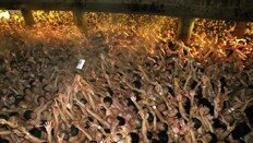 日 ‘벌거벗은 축제’의 비극…1만명 엉켜 3명 의식불명 ‘참사’