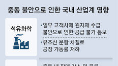 호르무즈 봉쇄 장기화 조짐… 車수출-유화공장 타격 불가피