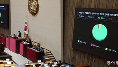 3500억달러 ‘대미투자특별법’ 국회 통과… 靑 “불리한 대우 없도록 美와 적극 협의”