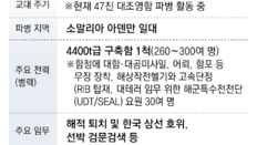 청해부대 파병 가능성 거론… “호르무즈 작전 위험 커 쉽진않아”