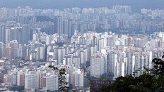 성동구 공시가 29% 올라 ‘최고’… 강남권-한강벨트 상승폭 커