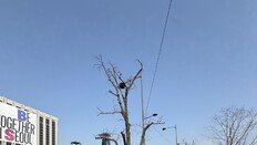 생수는 1병만, 커피는 No…‘BTS 광화문’ 이것만은 알고 오세요