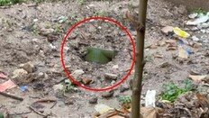 美, 이란에 35년 만에 대전차지뢰 살포?…민간인 피해 우려