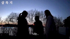 귀신 나온다는 ‘살목지’에 밤12시 차 149대…“야간 통행 금지”