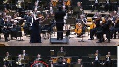 지휘봉 스친 순간 20억 바이올린 ‘우당탕’…연주자 비명