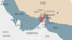 “호르무즈 기뢰 제거에 반년… 전쟁 끝나야 착수 가능할것”