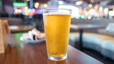 맥주 마시면 기분 좋아지는 이유…알코올 말고 ‘이것’ 때문?