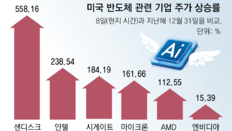 美 AI 밀물에 노젓는 반도체, 인텔-AMD 뛰고 K칩 3사 날아올라