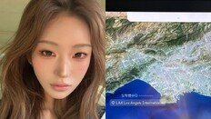 최준희, LA 신혼여행…“캐리어 6개·강아지 두마리”