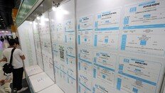 ‘장기 백수’ 비중 22년만에 최고… 절반 이상이 2030