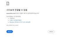 “삼전닉스 2배로 베팅” 몰린 개미들…금투협 서버 마비