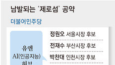 한 기관 두고 서로 “유치”… 같은 당끼리 겹치기 공약