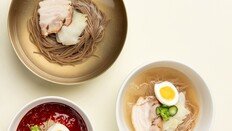 “냉면 1.8만 원, 삼계탕 2만 원”…직장인 점심값 한숨 깊어진다