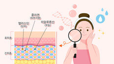 “콜라겐, 피부 보습·관절 통증 완화 효과”…113개 임상시험 분석[건강팩트체크]