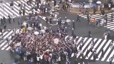 “욱일기, FIFA 항의하자” 日 여론에… 서경덕 “역사 제대로 못 배워”
