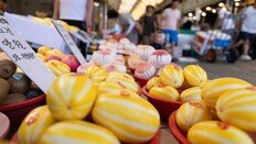 일본은 지금 ‘챠메’ 열풍…‘코리안 멜론’ 역수출 대박