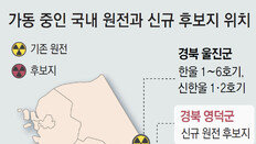 24년만에 신규원전 부지 선정… ‘전력수요 대비’ 인허가 빨라질듯
