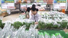 25%뛴 기름값, 밥상물가도 껑충… 1500원대 환율 하반기 변수로