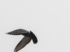 루시드폴, 오늘(7일) 정규 11집 발매…눈부신 햇살 향한 연대