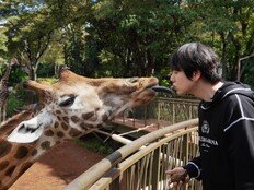 규현 기린 키스 직전 포착…나영석 사단 ‘케냐 간 세끼’ 기대 UP