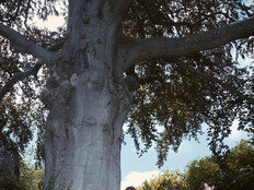 ‘컴백 D-5’ 라이즈, 싱글 ‘페임’ 트랙 리스트 따라 즐기는 ‘이모셔널 팝’