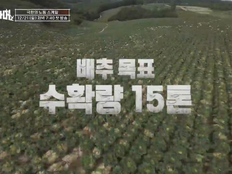 ‘배추 15톤→1000그루 벌목’, 추성훈→백호 멘탈 나감 (헬스파머)