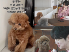 박나래, ‘주사이모’ 사태 번졌다…샤이니 키와 연결고리 포착 [SD이슈]