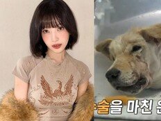 레드벨벳 조이, 턱뼈 함몰 학대견 기적 회복에 “내가 다 배부르다” 안심 (동물농장)[TV종합]