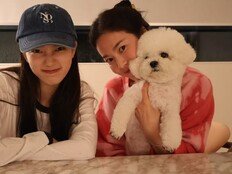 송혜교도 빵 터진 수지의 응원…“덤으로 공유 오빠도”