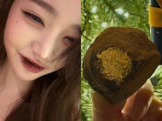 ‘두쫀쿠’는 좋겠다, 장원영이 이렇게 사랑해줘서 [DA★]