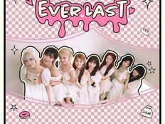 유니스, 첫 미주 투어 규모 확장⋯내슈빌·오타와 추가 공연