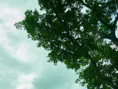 이정은·공효진·박소담 ‘경주기행’, 하와이영화제 이어 피렌체영화제 초청