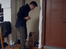 최초 솔루션 거부 위기? “오늘 죽기 5분 전” (개늑시2)