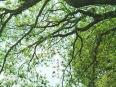 박진영♥김민주 봄날 같은 첫사랑 티저 최초 공개 (샤이닝)